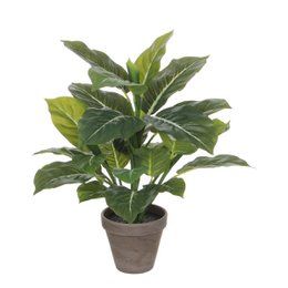 Kunstplant Evergreen Groen