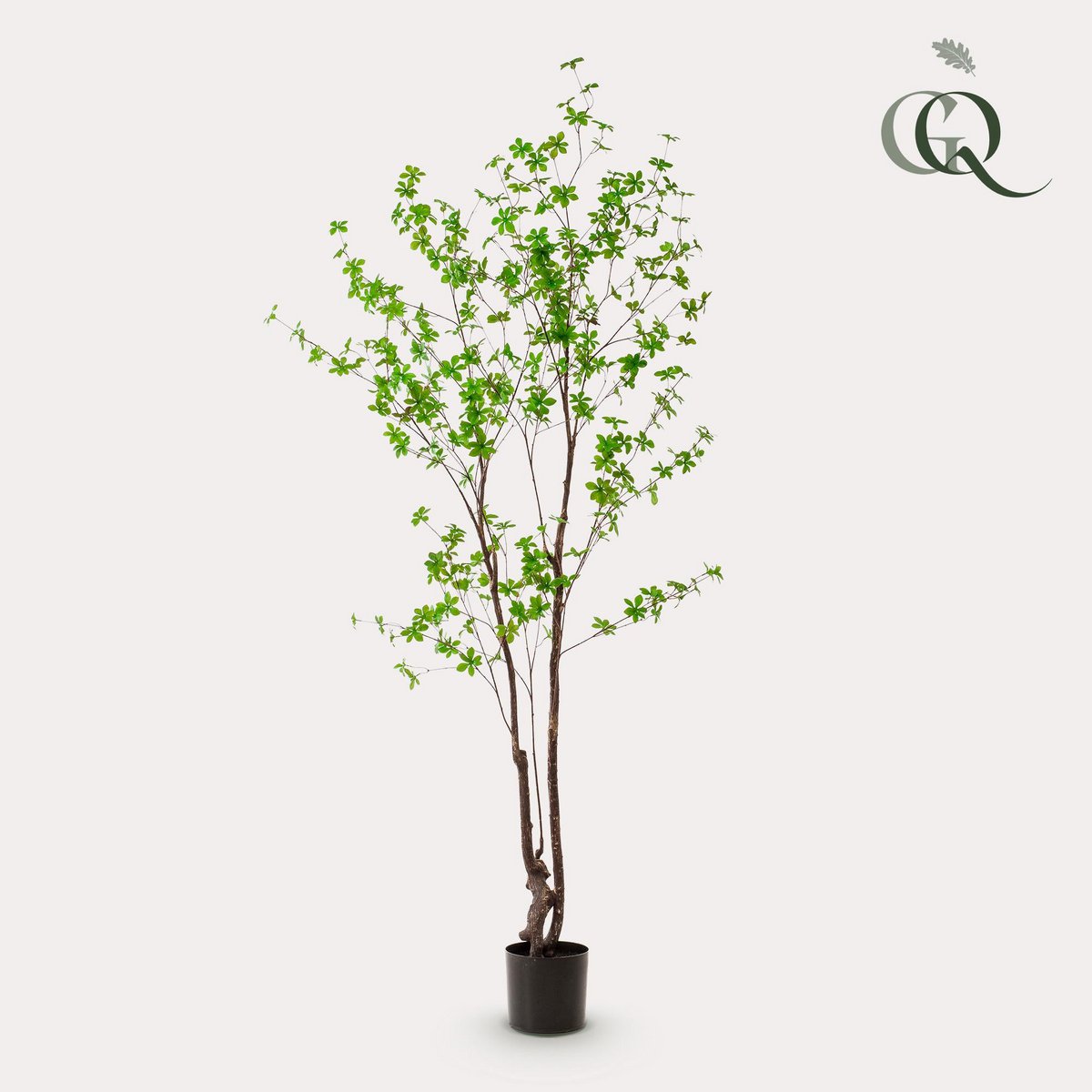 Kunstlant - Tropseolum - oost indiste - 210 cm