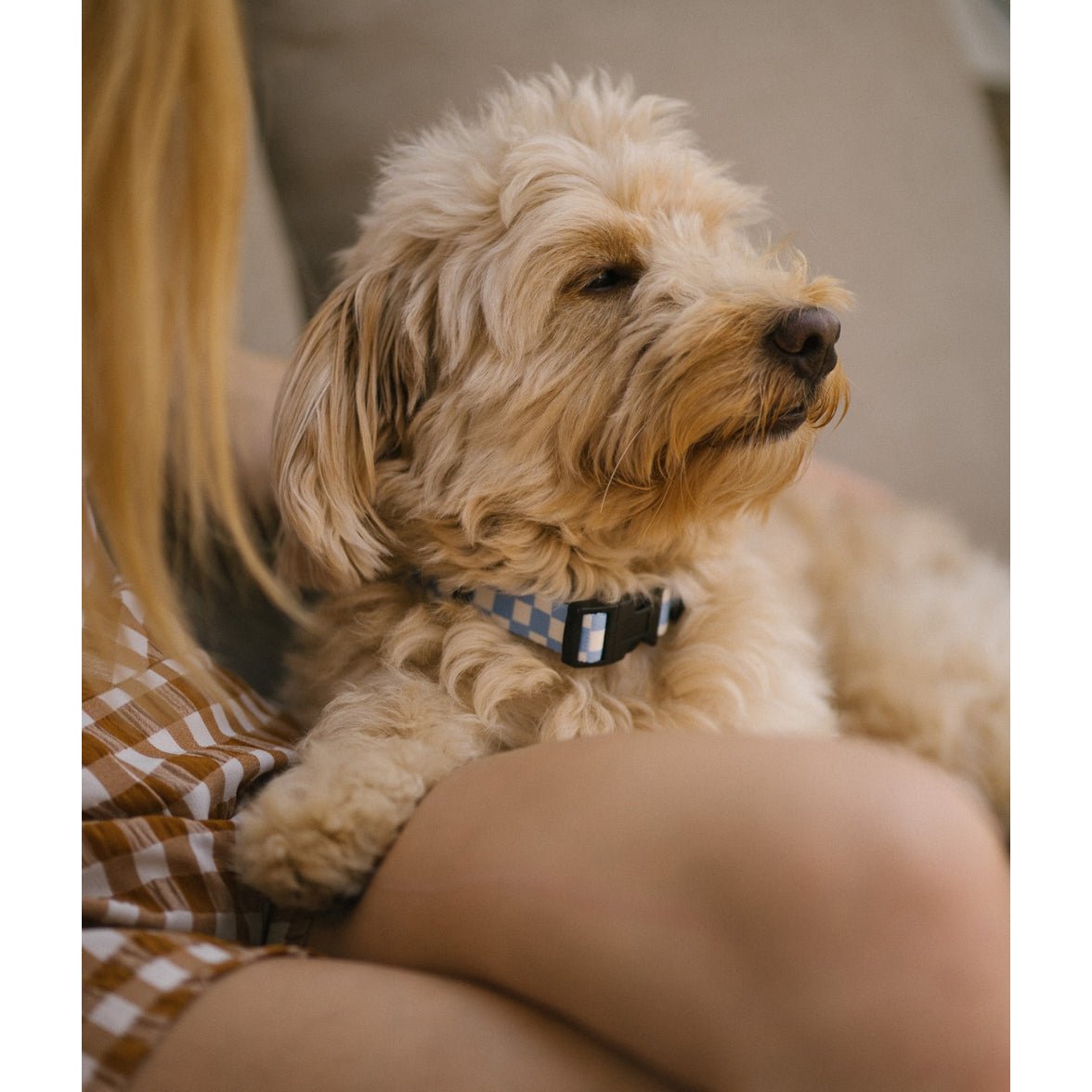 Halskette aus recyceltem PET, blaues Vichy-Design, Juno