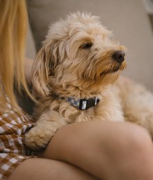 Halskette aus recyceltem PET, blaues Vichy-Design, Juno