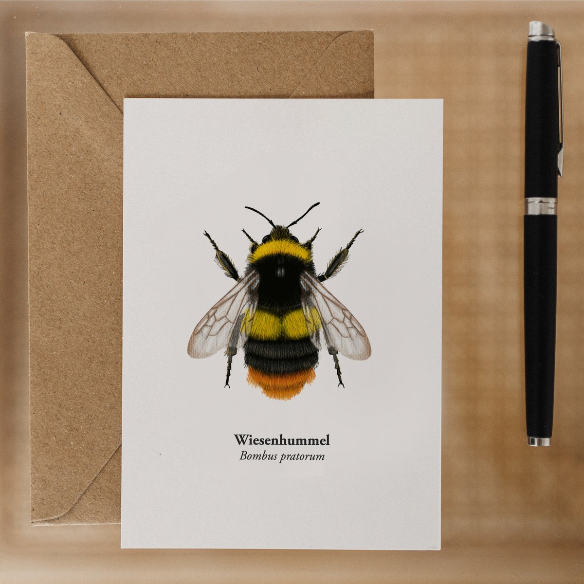 Hummel Karta z życzeniami o wysokości pocztówki z rysunkiem z papieru WiesenHummel-FSC®