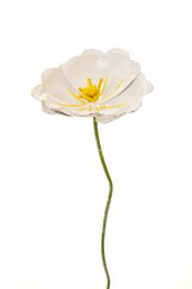 White poppy flower sculpture on a green stem. Made of metal. Suitable for garden decor.