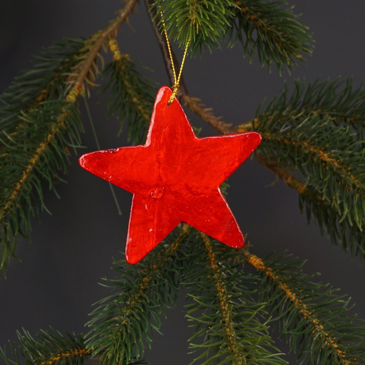 Casquette de Noël étoile rouge