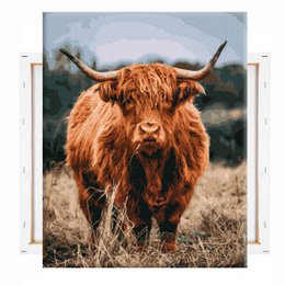 Highlander escocés