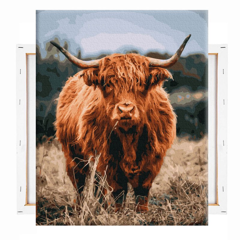 Highlander escocés