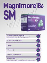 Magnimore SM B6 | Magnesium tilskud