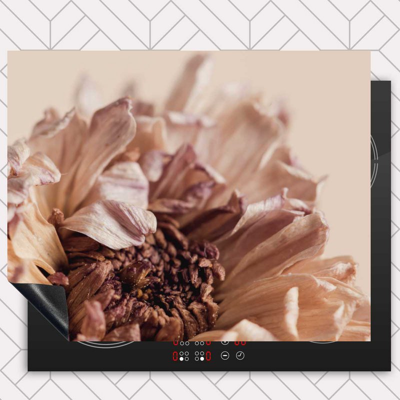 Induction protector - Dried chrysanthemum