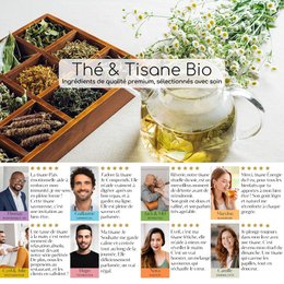 Bio-Kräutertee für die süße Nacht – natürliche entspannende und beruhigende Aufgüsse – koffeinfreier Bio-Kräutertee