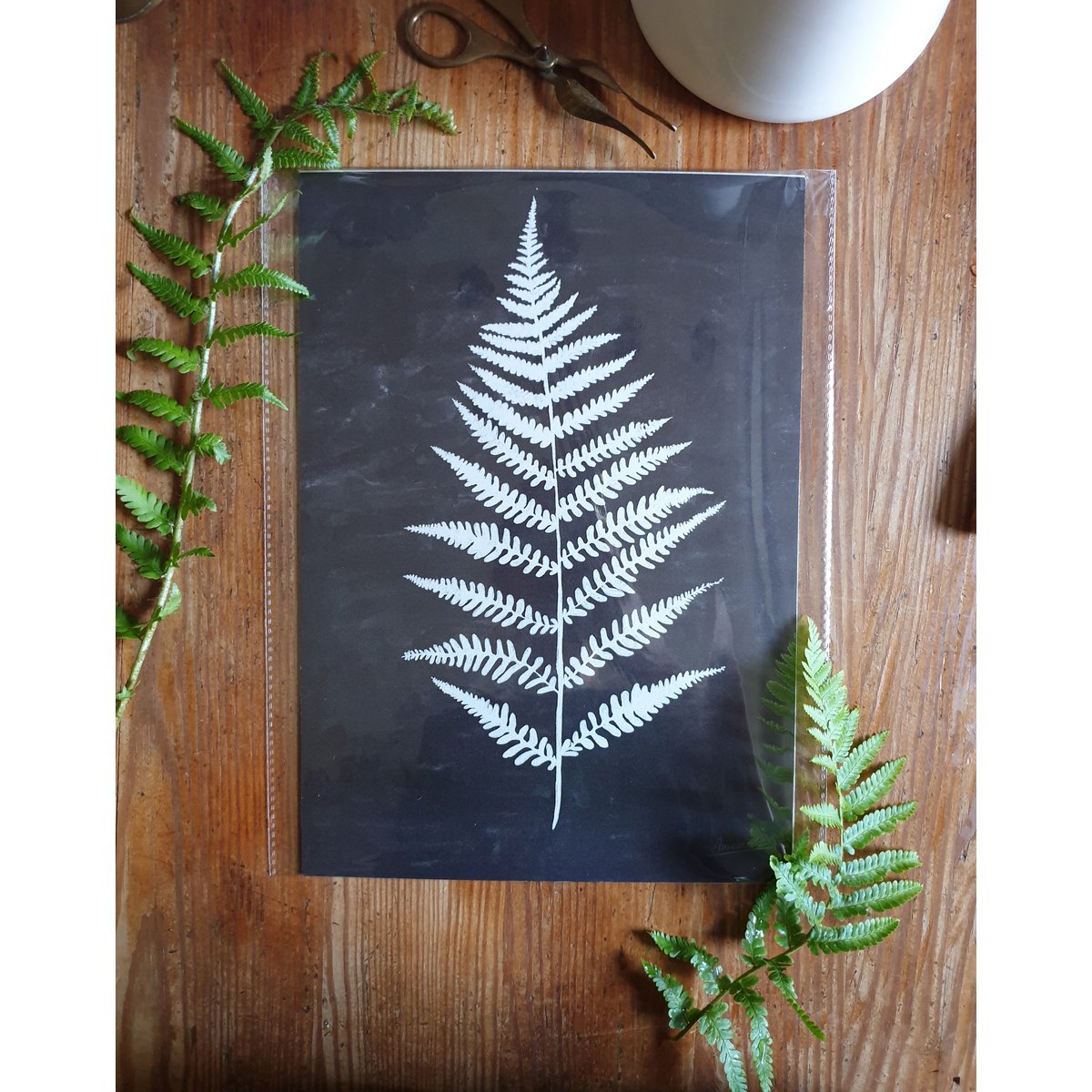 Scandi Fern Poster "White Fern" A4 - Duurzame kunstprints op gerecycled papier in cellofaan
