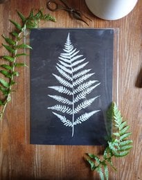 Scandi Fern Poster "White Fern" A4 - Sustainable art prints on recycled paper in cellophane. Monochrome poster featuring a detailed illustration of a fern leaf against a dark background.