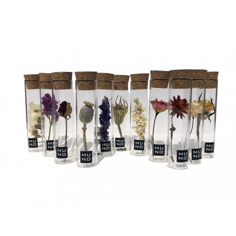 TUBE 10 CM WITH DRIED FLOWER - Gift