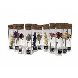 TUBE 10 CM WITH DRIED FLOWER - Gift