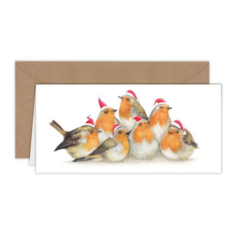 Kerstkaart, vogelvakantiekaart, dierenwenskaarten
