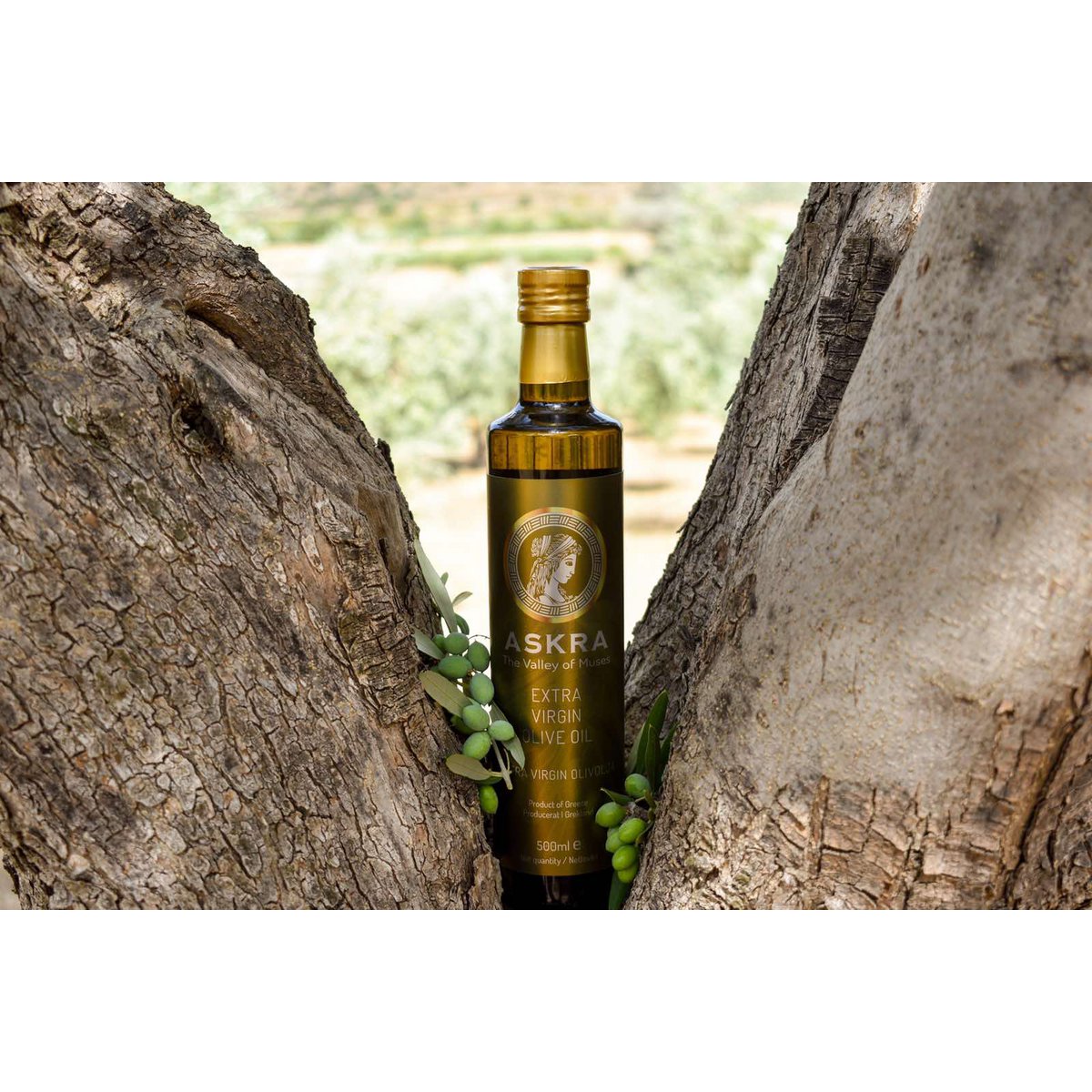ASKRA Premium Monovarietal Extra Virgin Olive Oil