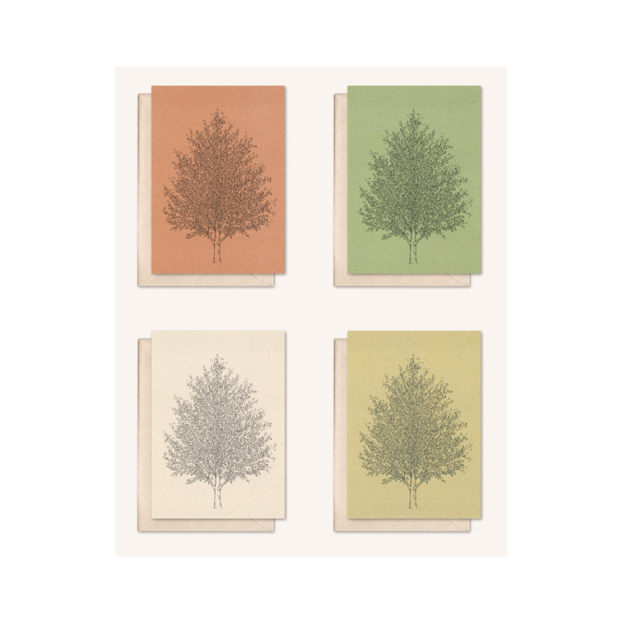 Carta sostenibile + busta | Albero d'ambra | Fiore di sambuco