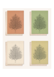 Carta sostenibile + busta | Albero d'ambra | Fiore di sambuco