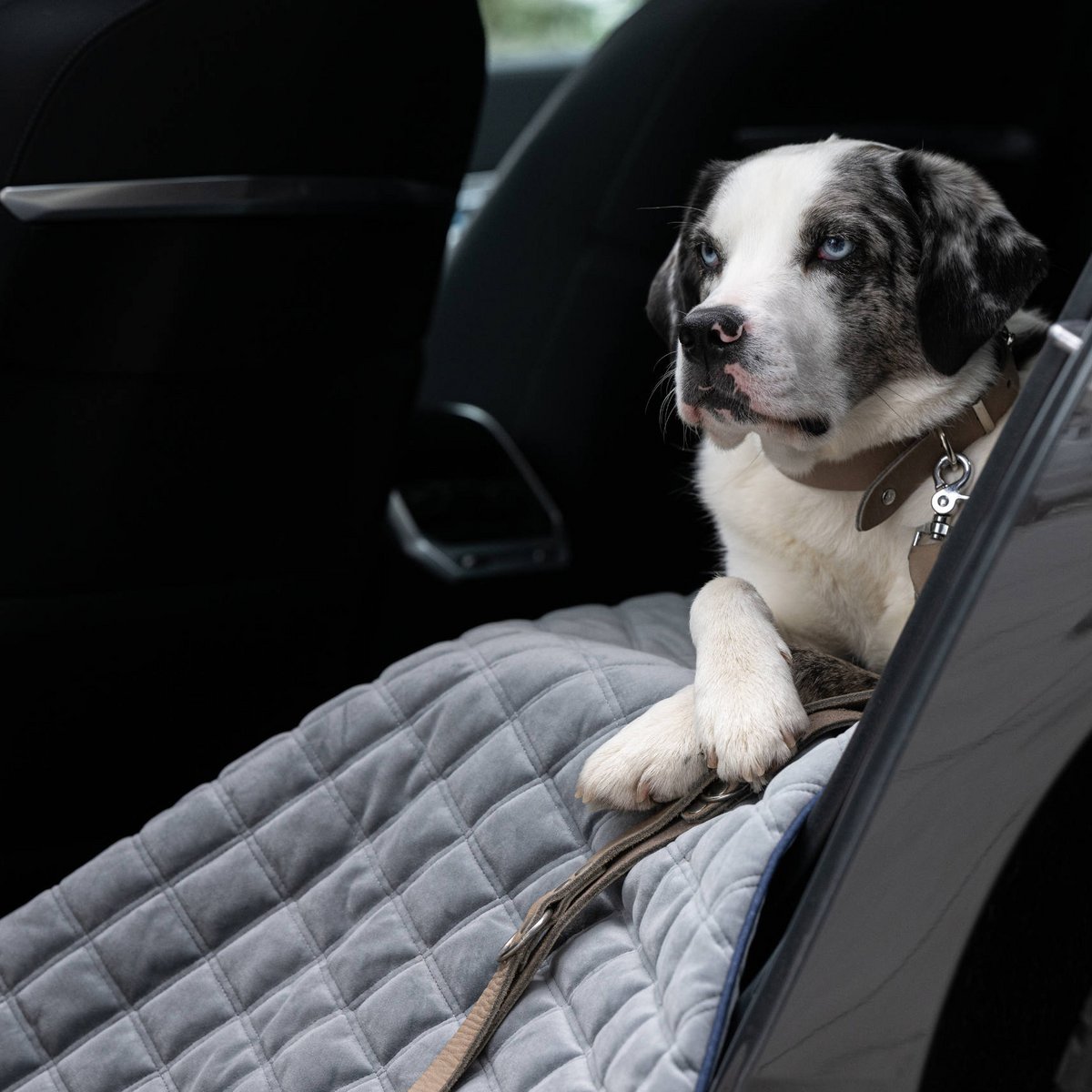Coperta in velluto OXFORD per cani