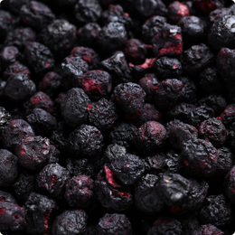 CRUNCHY FRUIT BLUEBERRY