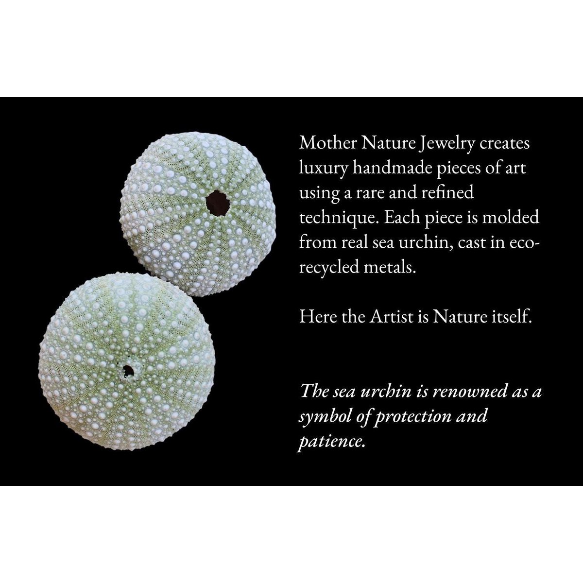 Gold Urchin Earrings, Handmade Sea Jewelry, Organic Beach Studs, Gift for Health and Longevity, Eco Sustainable Sterling Silver 925