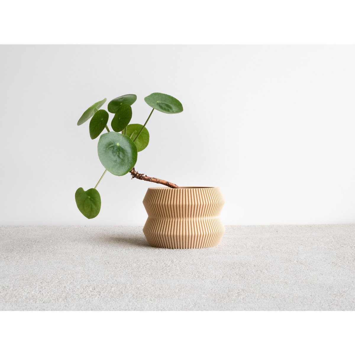 ITO Indoor Planter