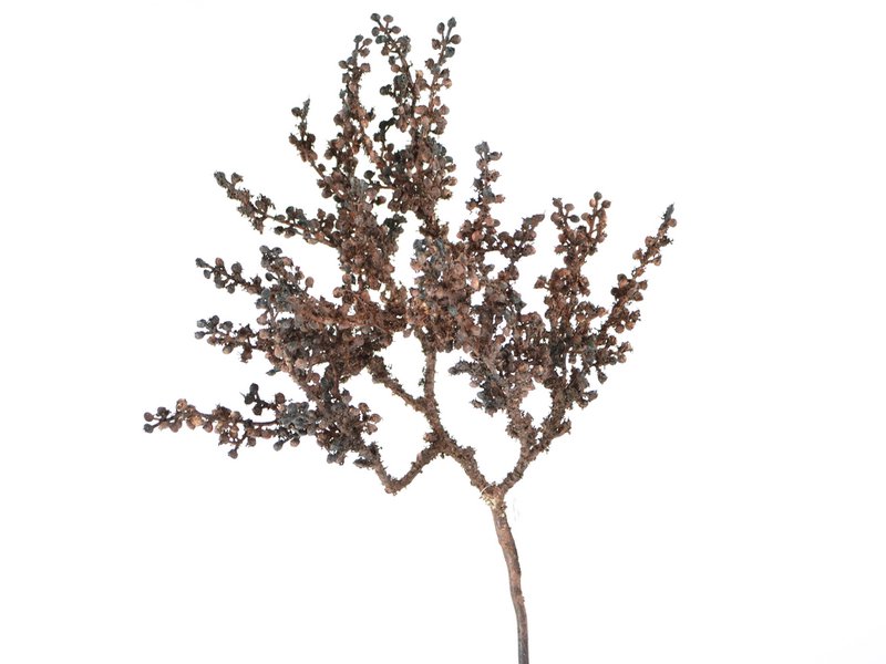 Bark forest branch, 58cm, brown