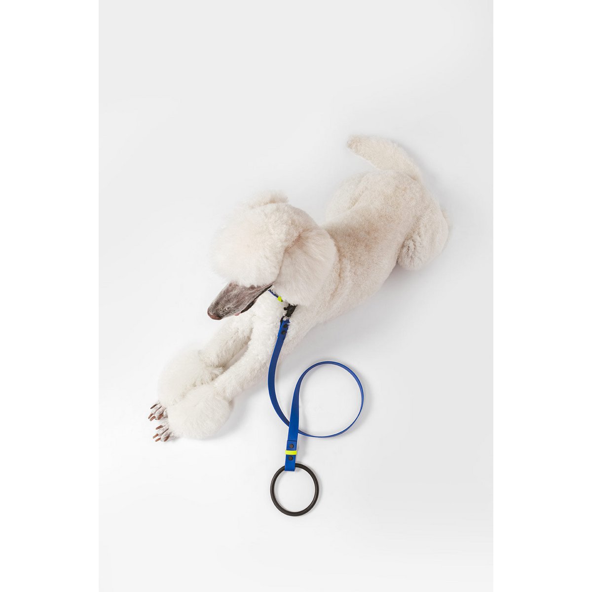 Flotta L01