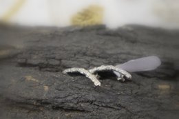 Nature-Inspired Silver Ear Crawlers, Pine Branch Detail (Unisex)