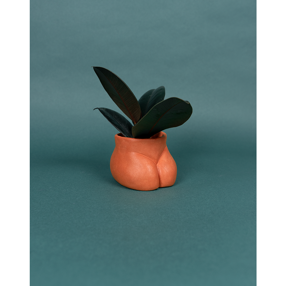 CACHE POT - MINI BUTTERFLY