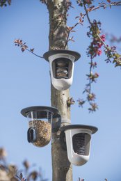 Hello Multi-Vogelfutterhaus aus Kunststoff