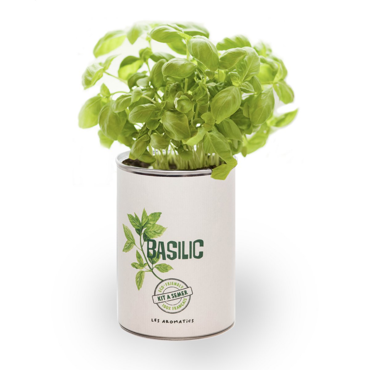 Albahaca