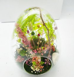 Stabilized egg terrarium