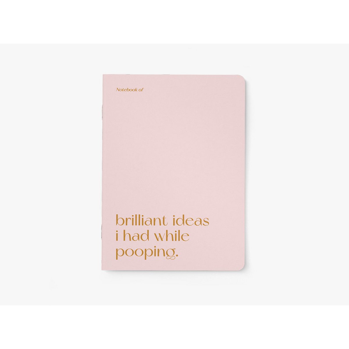 Notizheft / Brilliant Pooping
