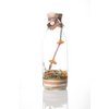 Préparation pour rhum arrangé "Abricot Thé " 1 L