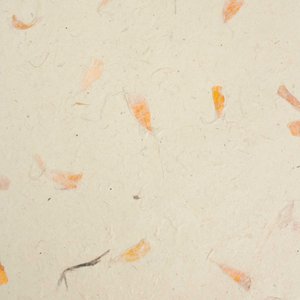 Lokta A4 Craft Paper (Pack of 20 Sheets) - Calendula