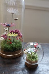Campana de flores secas (burbuja para bebés)