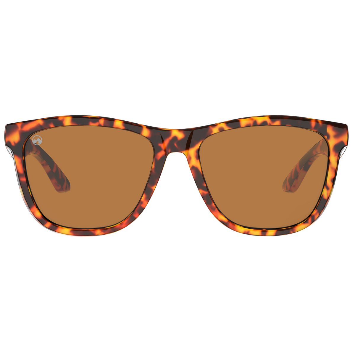 Terra - Tartotalizzazione Frame marrone scuro | lente ambra