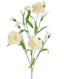 Artificial flower Carnation bunch 70 cm white