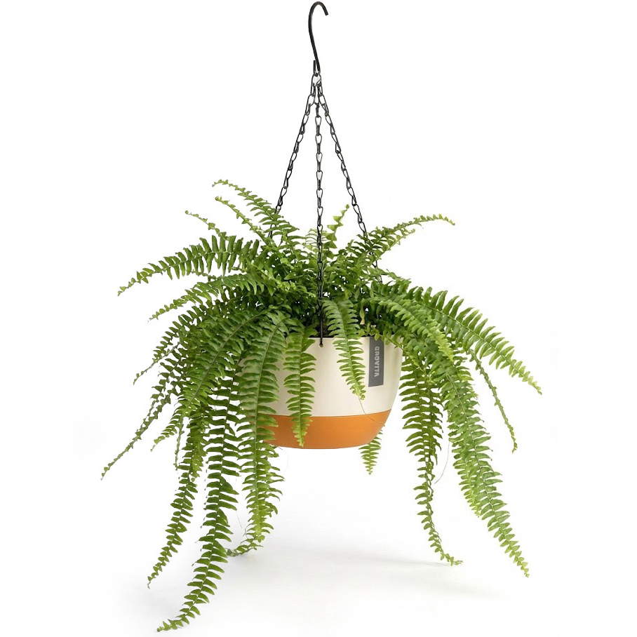 Hanging Planter with Self-Watering - White - For Indoor and Outdoor - Plant Pots