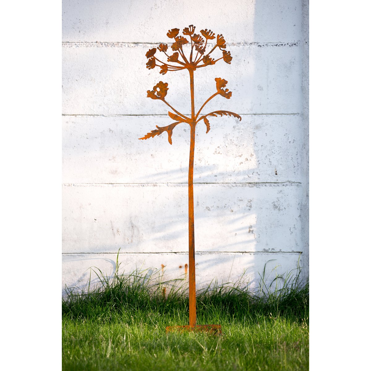 Poppy's & Hogweed - Corten object