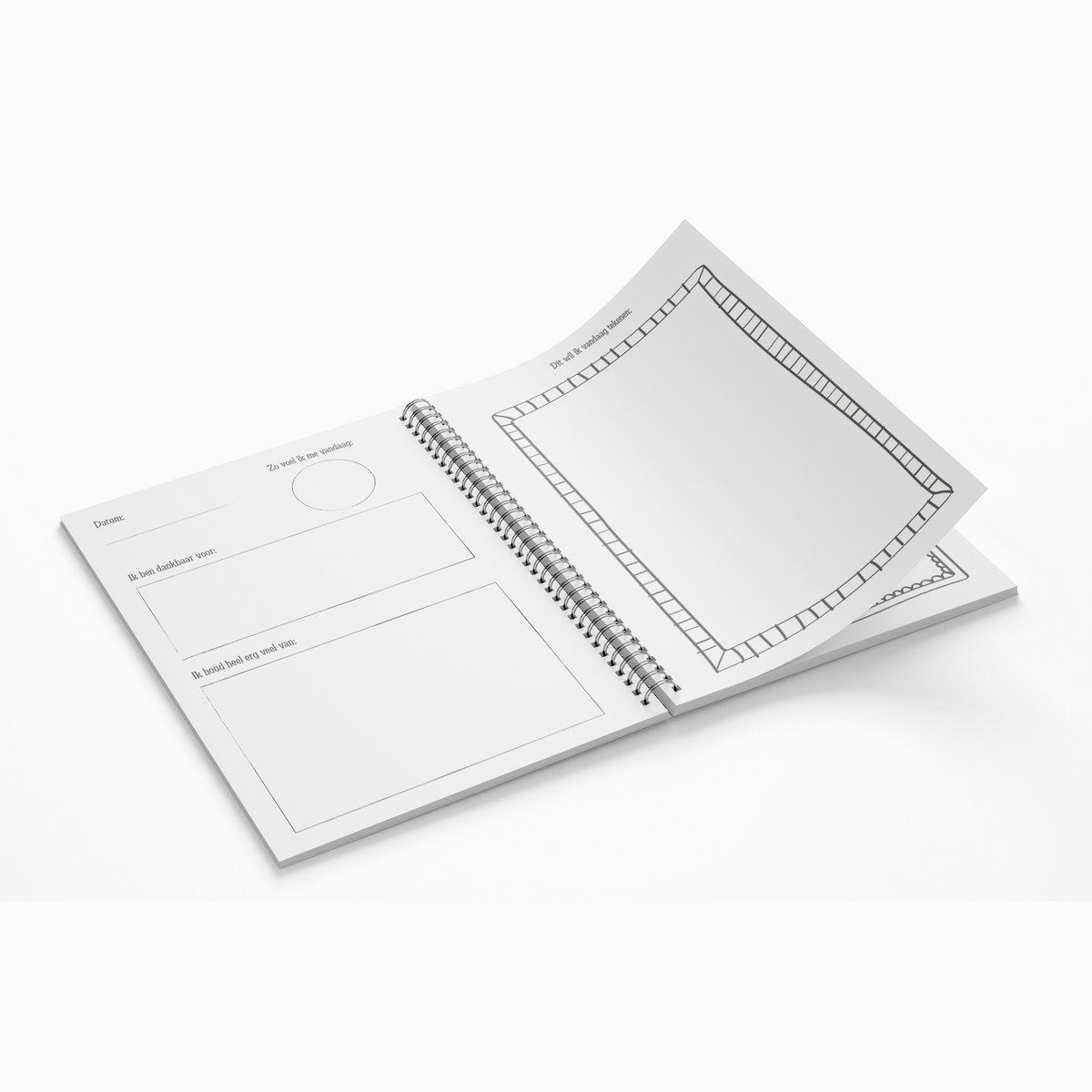 Drawing diary