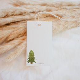 Etiquetas de regalo Árbol de Navidad menta "Feliz Navidad" 6x colgantes abeto