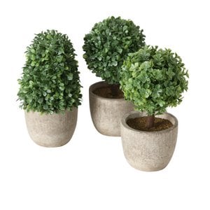 Kunstpflanze Buxus im Topf H14cm