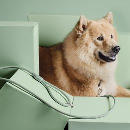 NE & No® Dog Lease "Loft Style" - Weerbestendig