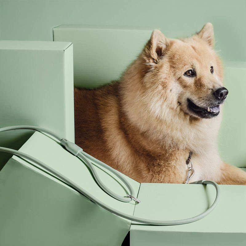 NE & No® Dog Lease "Loft Style" - Weerbestendig