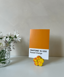 Poppy Photo Holder - Swirl
