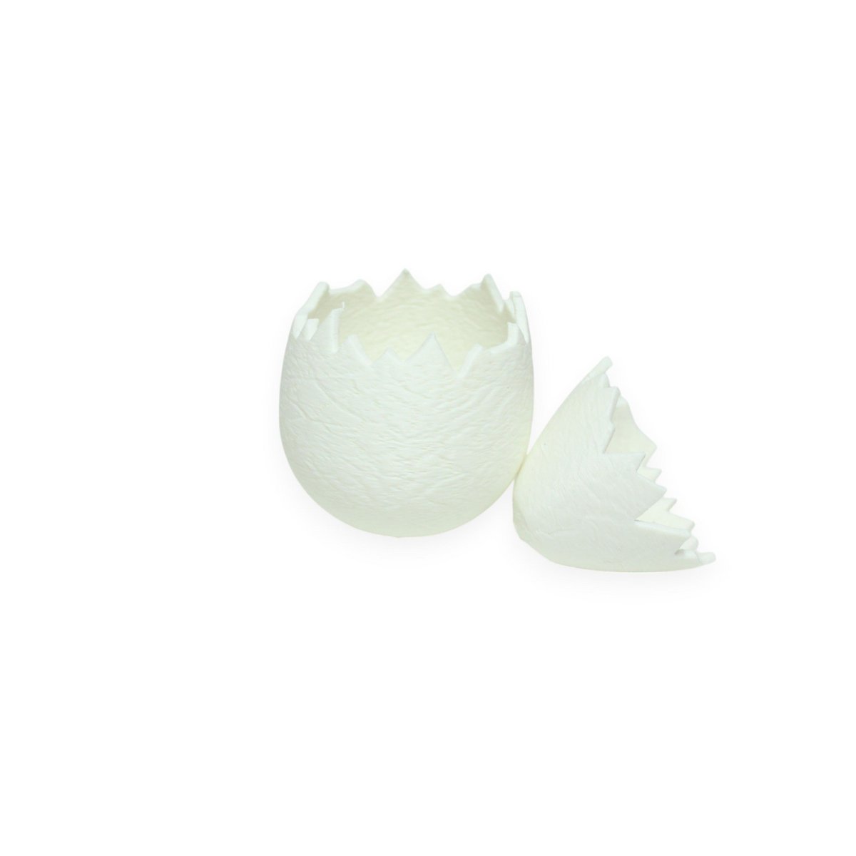 Egg with chick