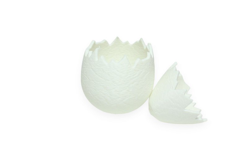 Egg with chick