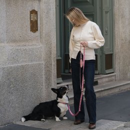 Multifunction Dog Leash - Sicily