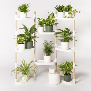 Self-watering 8-tray plant shelves