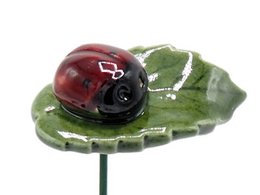 Ladybug on leaf planter ceramic 4 cm